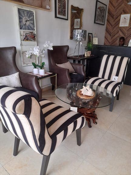 Gambia Zebra Furniture set